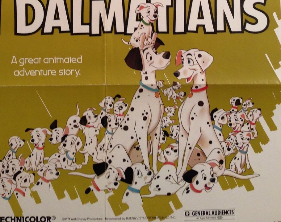 Dogs