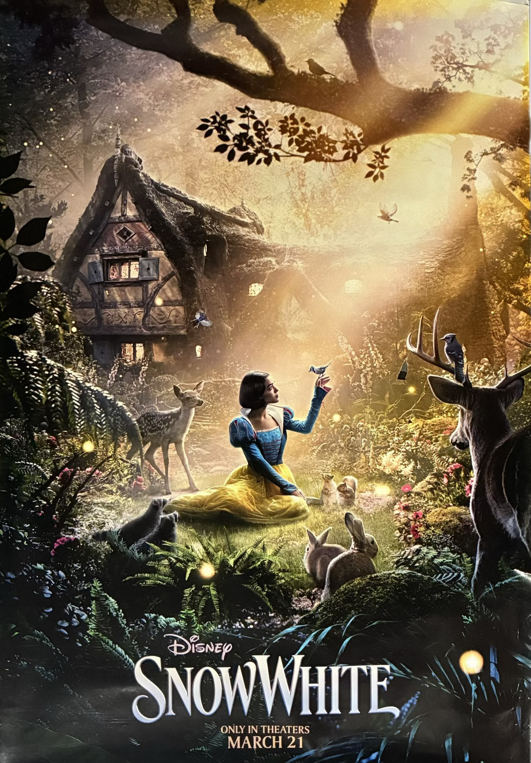Snow White_Disney_2025_Rachel Zegler_27x40_DS_rolled