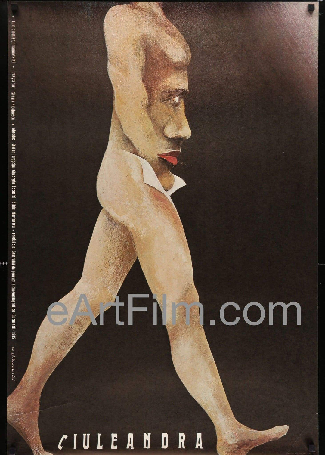 eArtFilm.com Polish (26"x38") Ciuleandra-Ciuleandra-1985 Sergiu Nicolaescu-Romanian Polish-Ion Ritiu-Anca Nicola-26x38