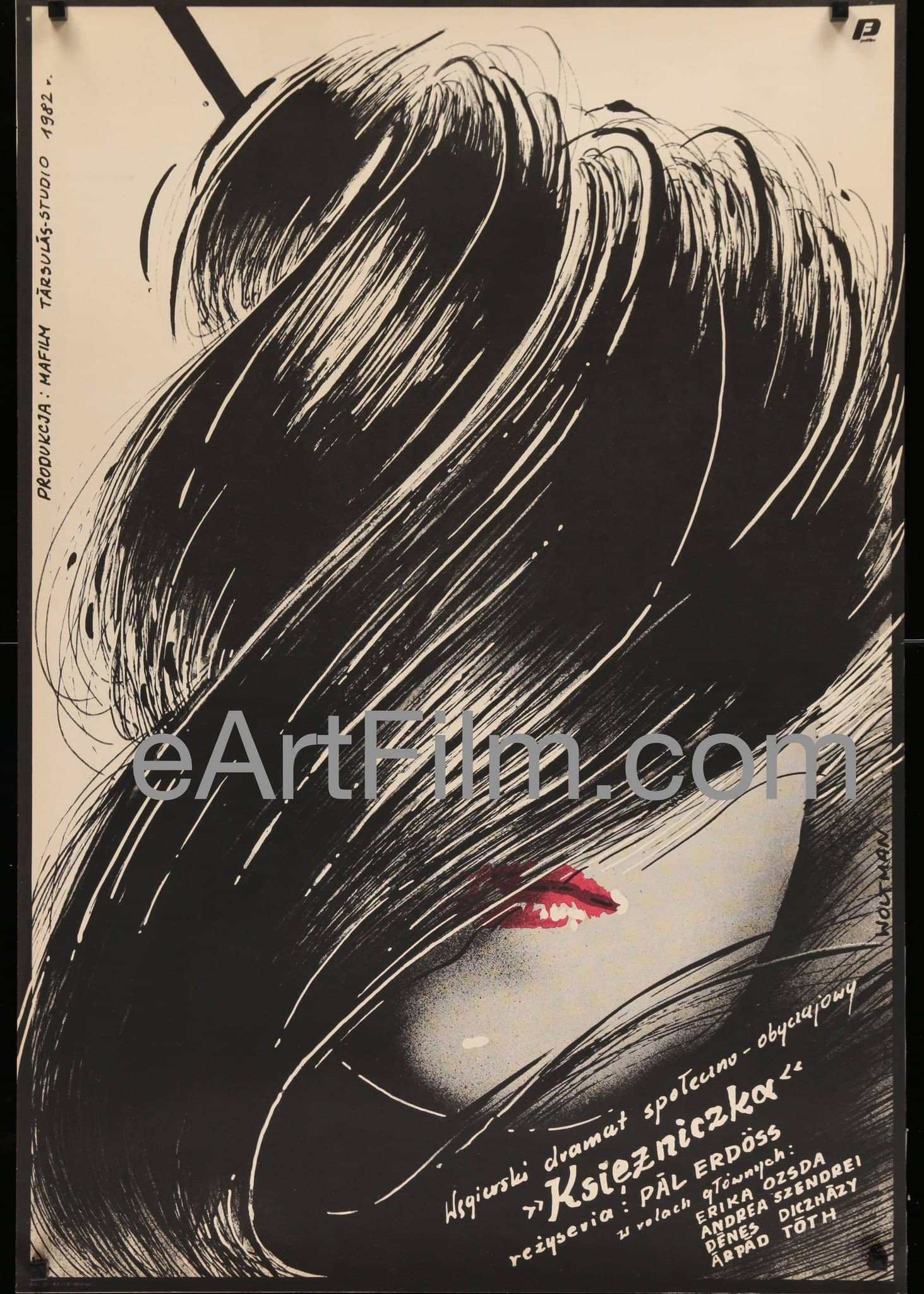 eArtFilm.com Polish Release (26.5"x38.5") Give the King Troops-Adj Kiraly Katonat-1982-26x38-Polish