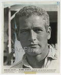 eArtFilm.com U.S 8"x10" Still Cool Hand Luke-Paul Newman-original studio 8x10 still-1967-cool history on back of still